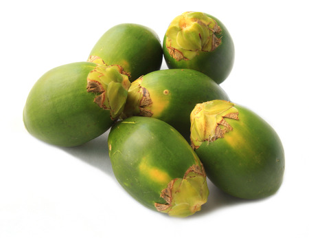 Betel Nut or Areca Nut の写真素材