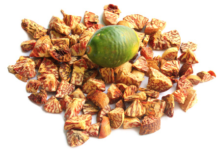 Betel Nut or Areca Nut の写真素材