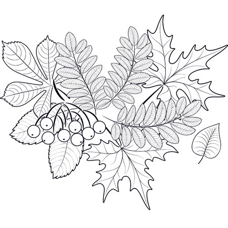 seamless pattern of autumn leavesのイラスト素材