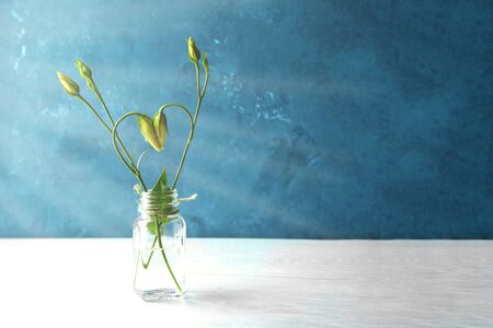 rose flower buds are curved in the form of a heartの写真素材