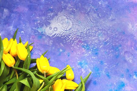 bouquet of yellow flowers of tulips on a purple backgroundの写真素材