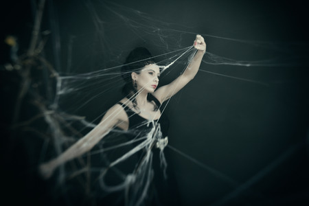 The witch sneaks through the webの写真素材