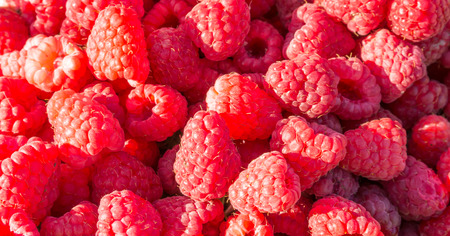 Crimson berry texture