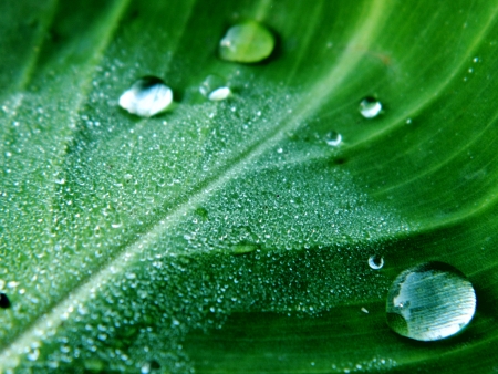 close-upの写真素材