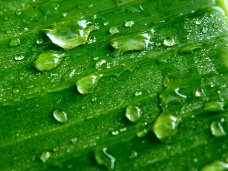 close-upの写真素材