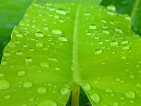 close-upの写真素材