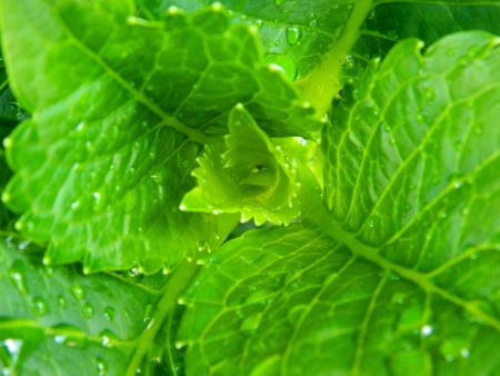 close-upの写真素材