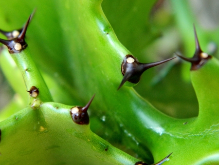 close-upの写真素材