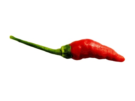 Pepper                             の写真素材