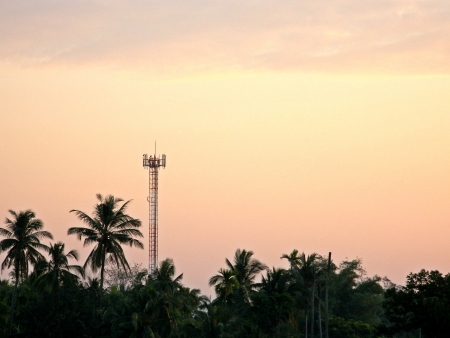 Morning scene の写真素材