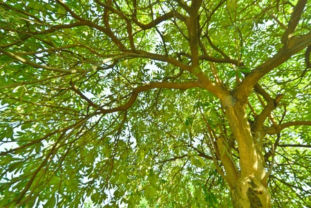 under of threeの写真素材