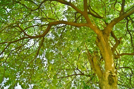 under of threeの写真素材