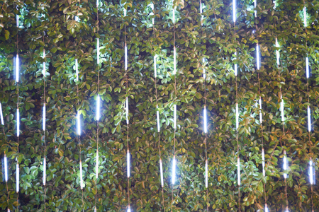 Decoration light in strip with bush background at nightの写真素材