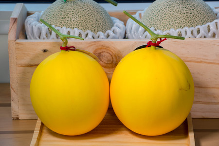 Yellow skin melonの写真素材