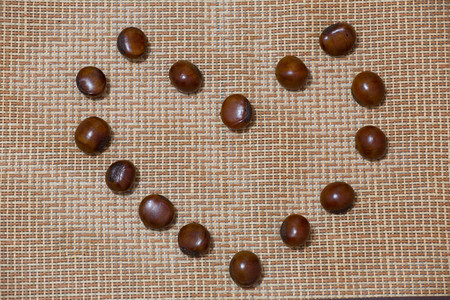 Chestnut Heart, Valentine's Day.の写真素材