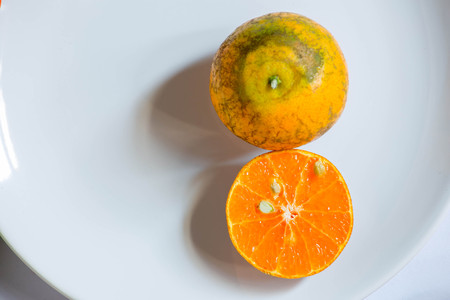 tangerineの写真素材