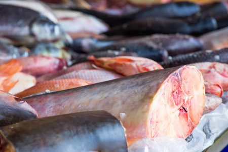Freshly cut fish