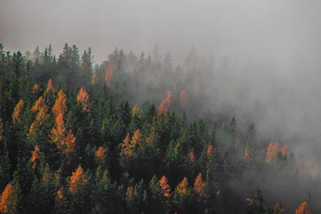 foggy days in the alpsの写真素材