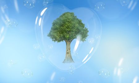 Green tree in a heart shaped soap bubbleの写真素材