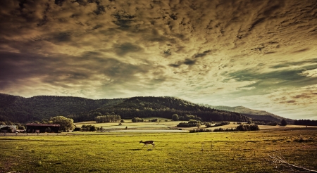 spring fieldの写真素材