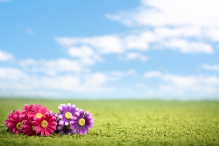 Photo-illustration of flowers on meadowの写真素材