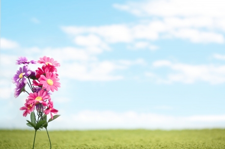 A buquet of wild flowers with blue の写真素材