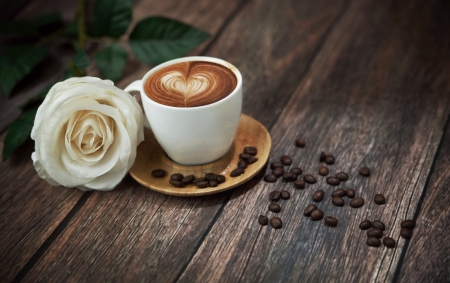 Hot coffee and beautiful  roseの写真素材
