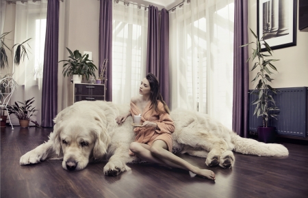Young lady hugging big dogの写真素材