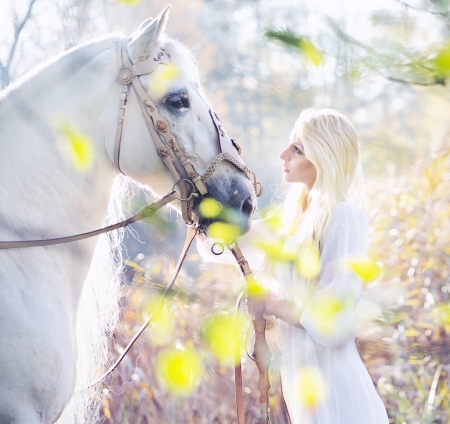 Blonde nymph with the pure white horseの写真素材