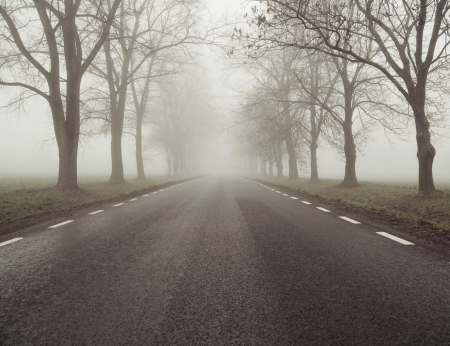 Picture presenting the foggy roadの写真素材