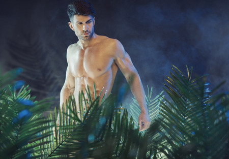 Tall and muscular guy in the rain forestの写真素材