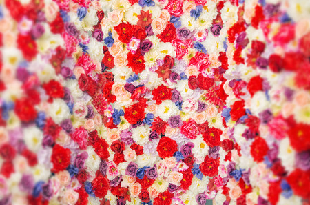 Carpet made of the colorful flowers and plantsの写真素材
