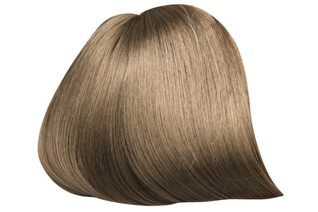 Brown, dense and straight wigの写真素材