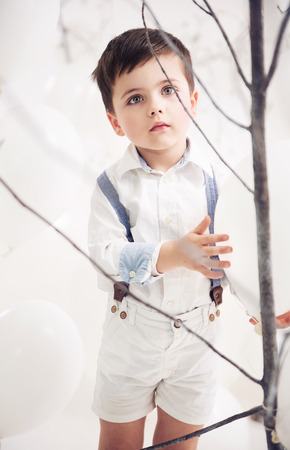 Cute little boy looking at the branchの写真素材