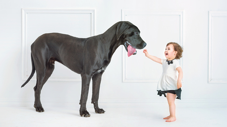 Cute little girl playing with a huge black dogの写真素材