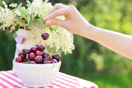 Image of a bright deep bowl full of fresh, sweet cherriesの写真素材