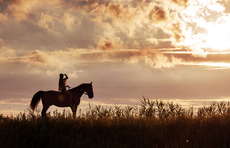 Attratcive woman relaxing with her horse friendの写真素材