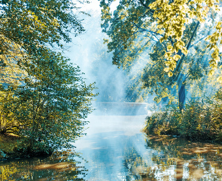 Summer morning on the edge of the lakeの写真素材