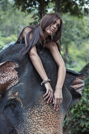 Pretty woman on the young elephantの写真素材