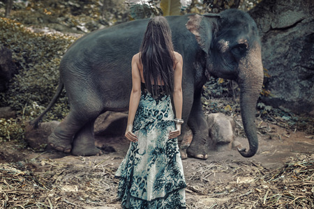 Brunette woman staring at the really wild elephantの写真素材