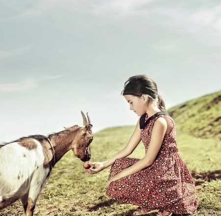 Calm and cheerful girl feeding a goatの写真素材