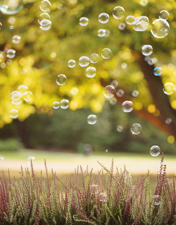 Light soap bubbles flying above heather flowersの写真素材