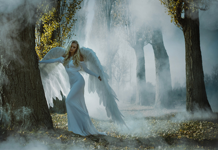 Portrait of an elegant, blond archanangelの写真素材