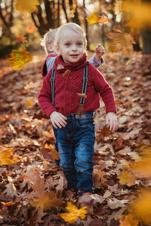 Cute, little twins looking at falling down autumnal leavesの写真素材