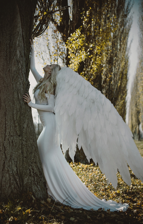 Portrait of an elegant, blond archangelの写真素材
