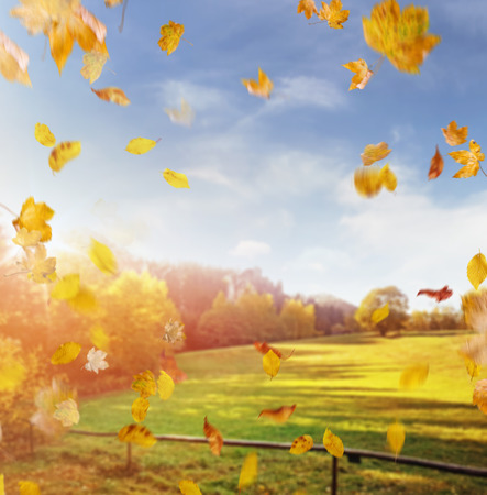 Beautiful, colorful autumn in an european placeの写真素材
