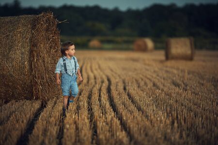 Cute little boy walking among the dry sheafs - countryside shotの写真素材