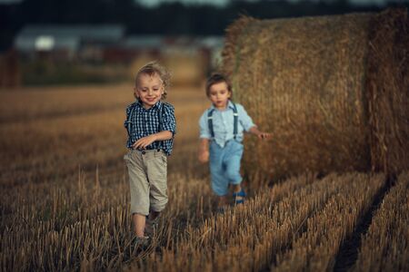 Two adorable brothers having fun in the countrysideの写真素材