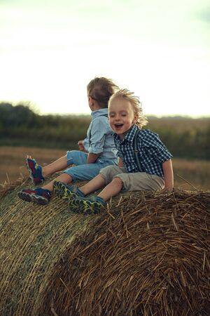 Two cute brothers leaning on the dry sheafの写真素材