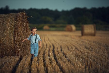 Cute little boy walking among the dry sheafs - countryside shotの写真素材